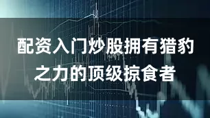 配资入门炒股拥有猎豹之力的顶级掠食者