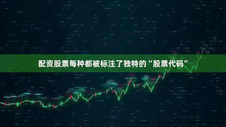 配资股票每种都被标注了独特的“股票代码”