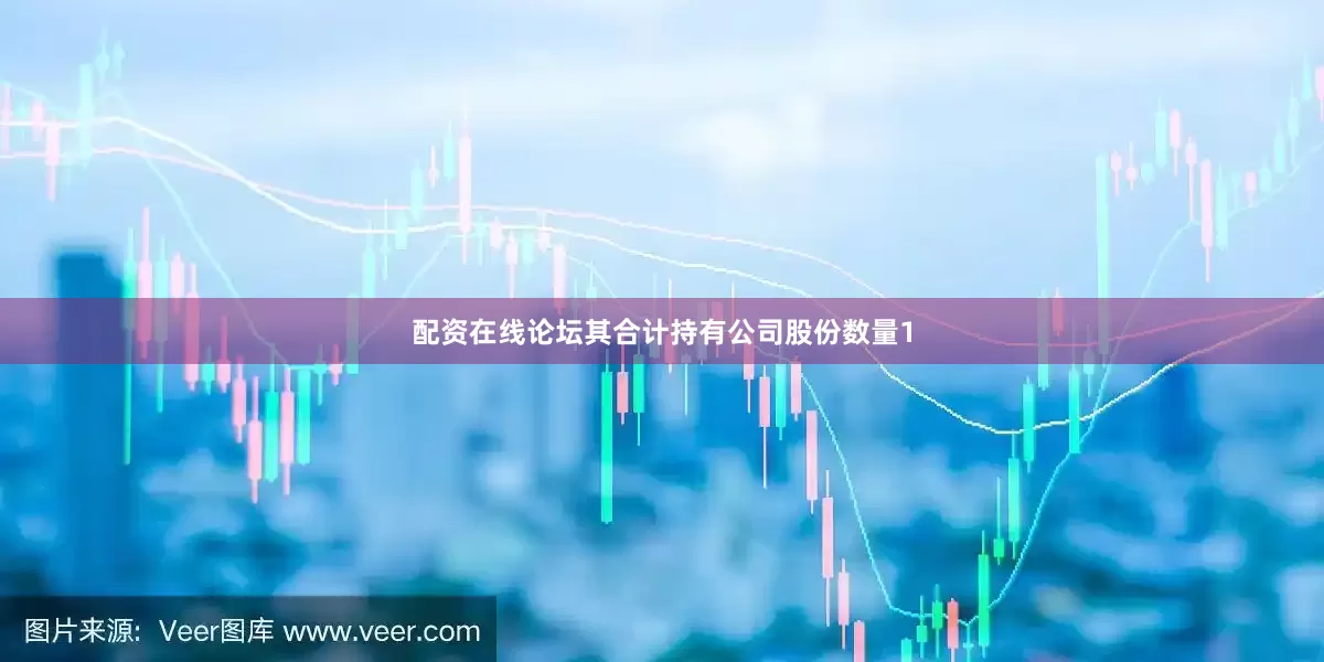 配资在线论坛其合计持有公司股份数量1