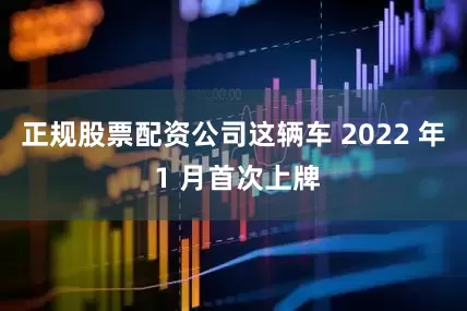 正规股票配资公司这辆车 2022 年 1 月首次上牌
