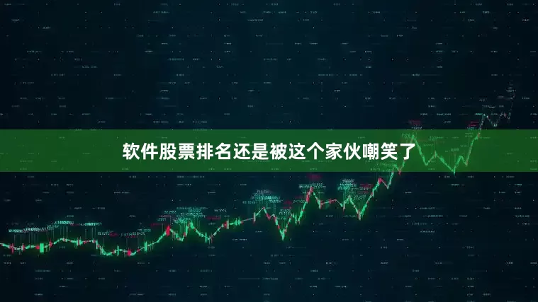 软件股票排名还是被这个家伙嘲笑了